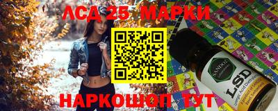 гидропоника Тверь