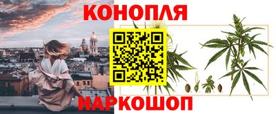 гидропоника Тара