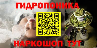гидропоника Тверь