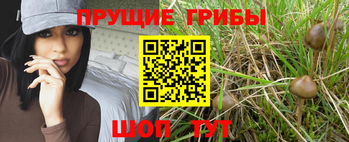 Галлюциногенные грибы прущие грибы  Вход с VPN  Галлюциногенные грибы Cubensis  Рассказово 
